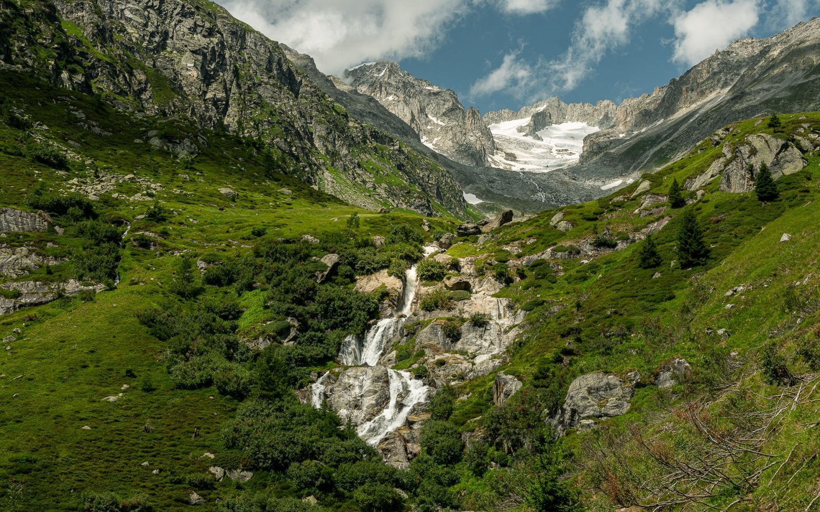 Experience nature and recharge your batteries