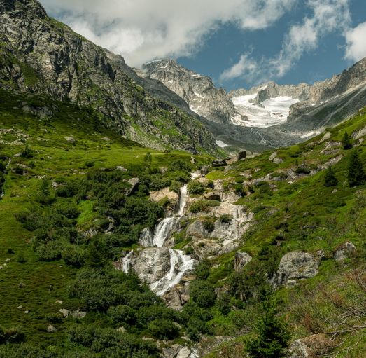 Natur erleben und Energie tanken