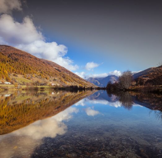 All this, and so much more 