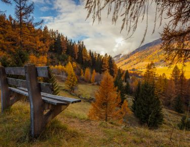 The perfect time of the year